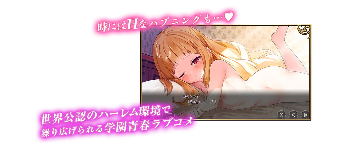 ヒロインの数だけ物語が存在！
                        世界公認のハーレム環境で繰り広げられる学園青春ラブコメ